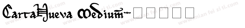 CartaNueva Medium字体转换